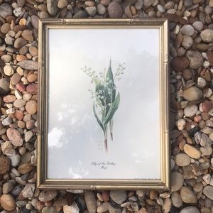 🤩VINTAGE BOTANICAL PRINT🤩